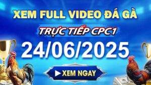 Xem Lại Video Đá Gà CPC1 Ngày 24-06-2025 cùng GACAM67
