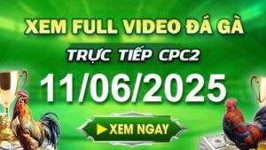 Xem Lại Video Đá Gà CPC2 Ngày 11-06-2025 cùng GACAM67