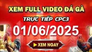 Xem Lại Video Đá Gà CPC3 Ngày 01-06-2025 cùng GACAM67