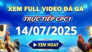 Xem lại video đá gà CPC1 ngày 14_07_2025 tại Gacam67
