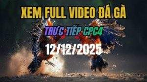 Xem Lai Video Da Ga CPC4 Truc Tiep Ngay 12122025 1