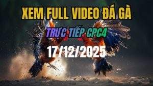 Xem Lại Video Đá Gà CPC4 Trực Tiếp Ngày 17/12/2025