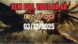 Xem Lai Video Da Ga CPC5 Truc Tiep Ngay 03122025 1