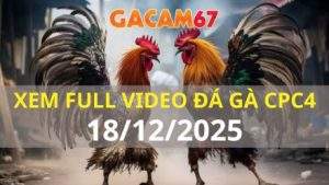 Xem Lại Video Đá Gà CPC4 Trực Tiếp Ngày 18/12/2025