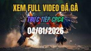 Xem Lại Video Đá Gà CPC4 Trực Tiếp Ngày 04/01/2026