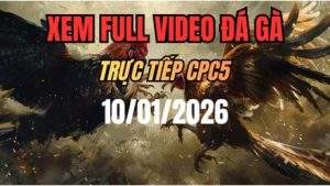 Xem Lại Video Đá Gà CPC5 Trực Tiếp Ngày 10/01/2026
