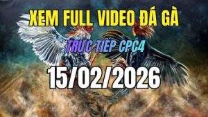 Xem Lại Video Đá Gà CPC4 Trực Tiếp Ngày 15/01/2026