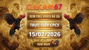 Xem Lại Video Đá Gà CPC5 Ngày 15/02/2026