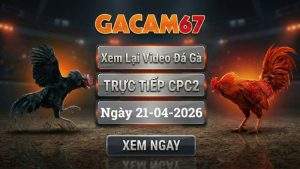 Xem Lại Video Đá Gà CPC2 Ngày 21/04/2026