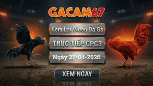 Xem Lại Video Đá Gà CPC3 Ngày 27/04/2026