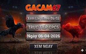 Xem Lại Video Đá Gà CPC5 Ngày 06/04/2026