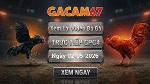 Xem Lại Video Đá Gà CPC4 Ngày 02/05/2026